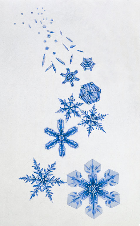snowflakes.JPG
