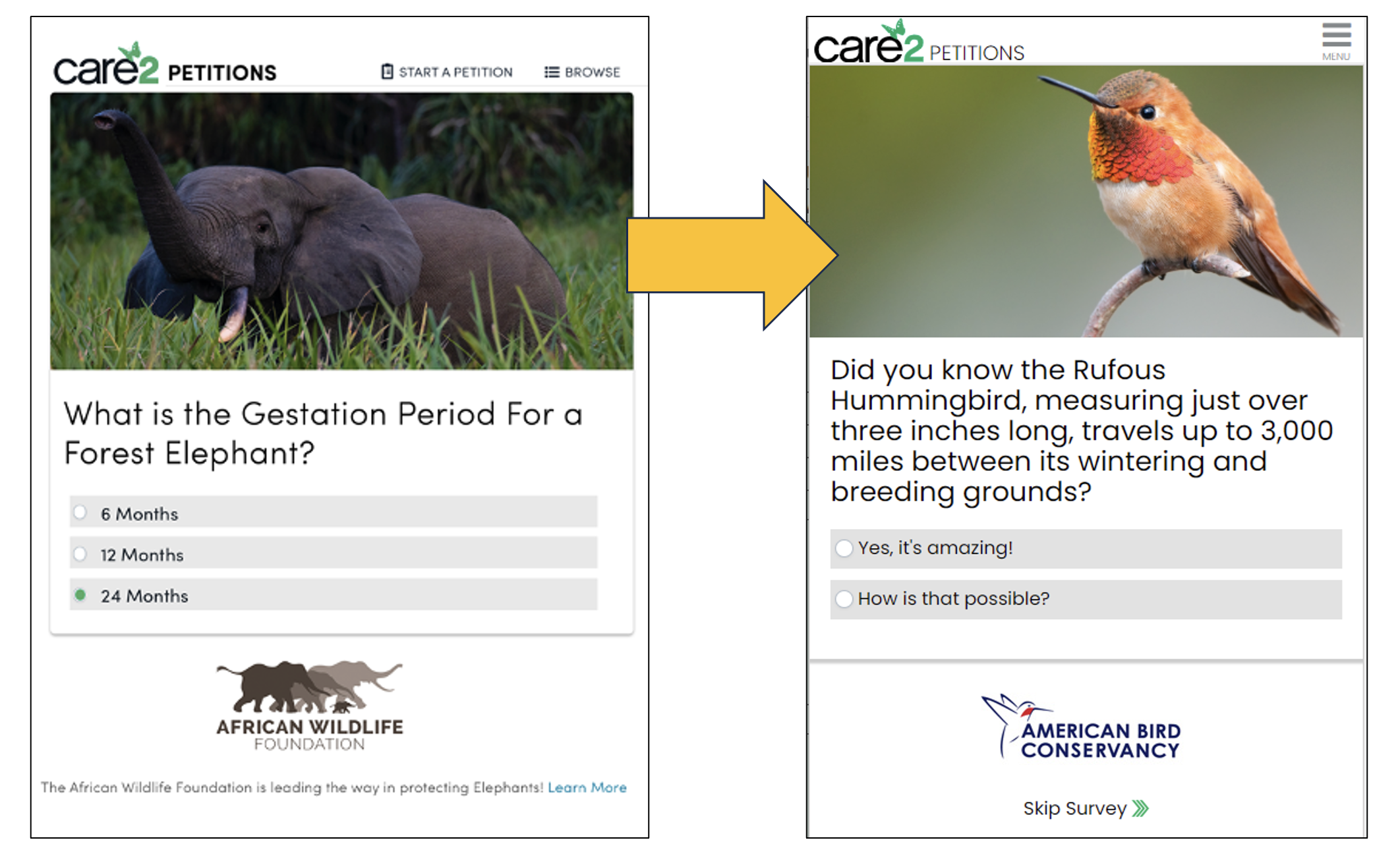 First image: A poll asking what the gestation period for an elephant is, with numeric choices. Second image: The fact that hummingbirds travel 3000 miles between breeding grounds with a poll asking people to select how that fact makes them feel.