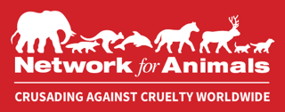 NFA logo.png