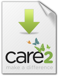 Care2-Case-Study---c2-download-sheet