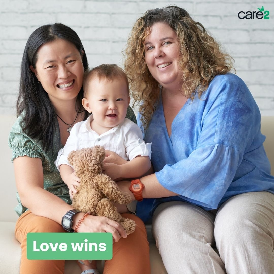 love wins love wins