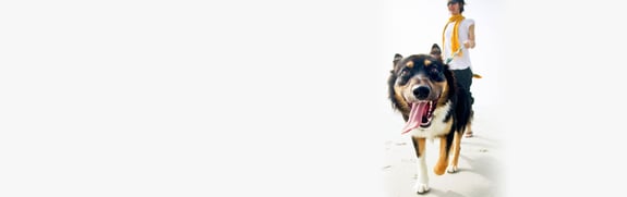 Care2 home page banner