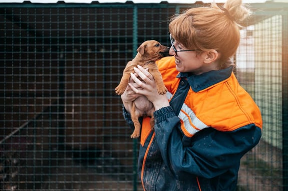 Animal Aid UK 