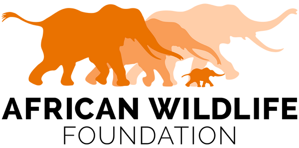 African Wildlife Foundation and Care2 case study