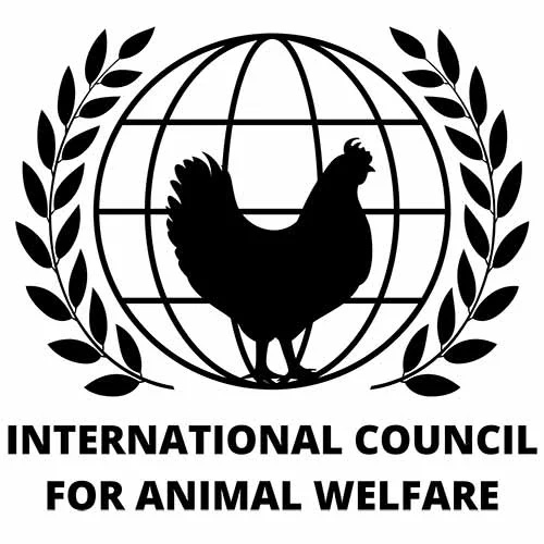 ICAW logo