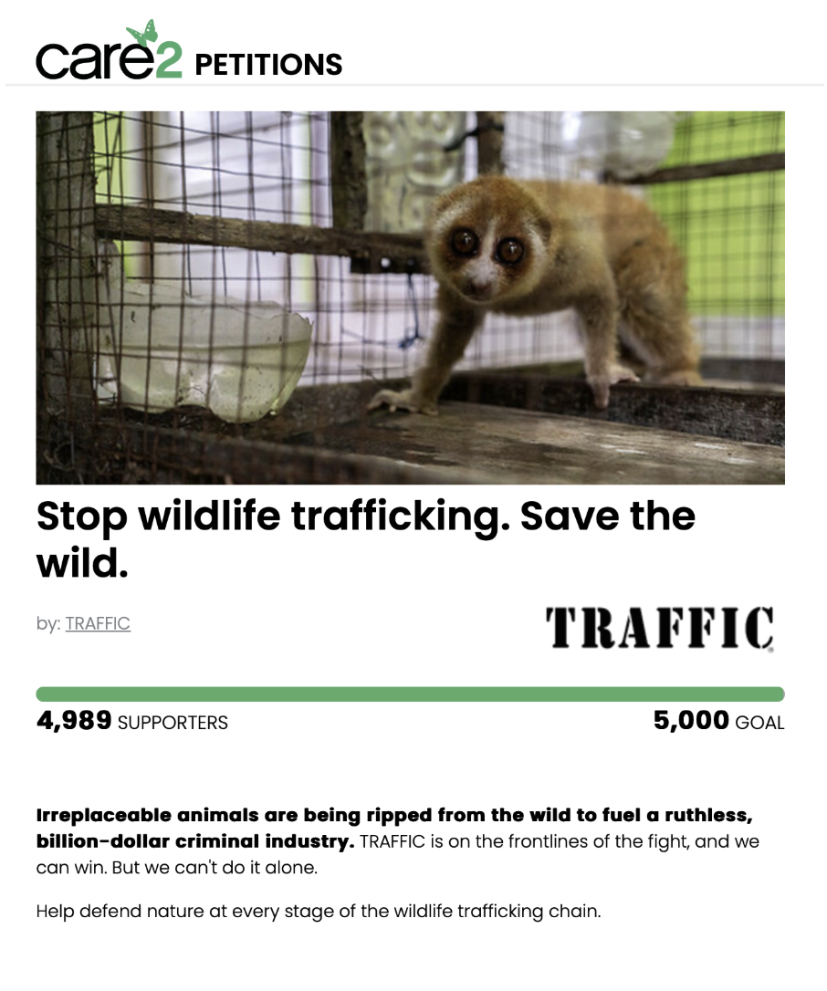 TRAFFIC and Care2 Case Study