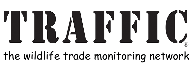 TRAFFIC and care2 case study