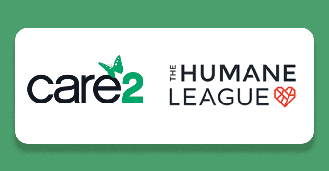 Humane League and Care2 Case Study
