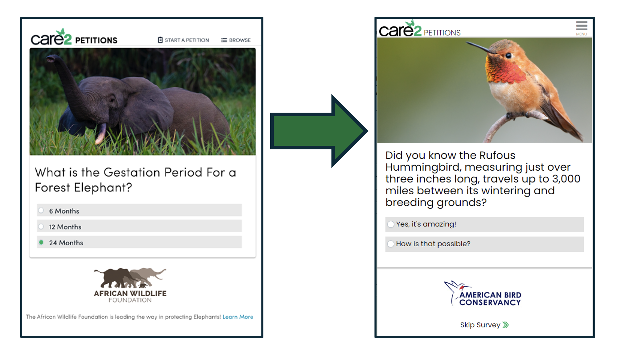 Care2 Cultivate Quiz Examples