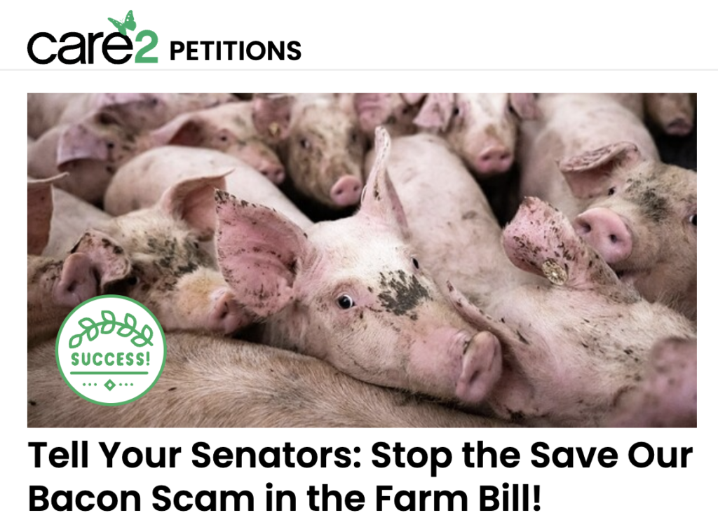Care2 and ConnectBlue mobilized animal welfare advocates to stop the Save our Bacon Scam!